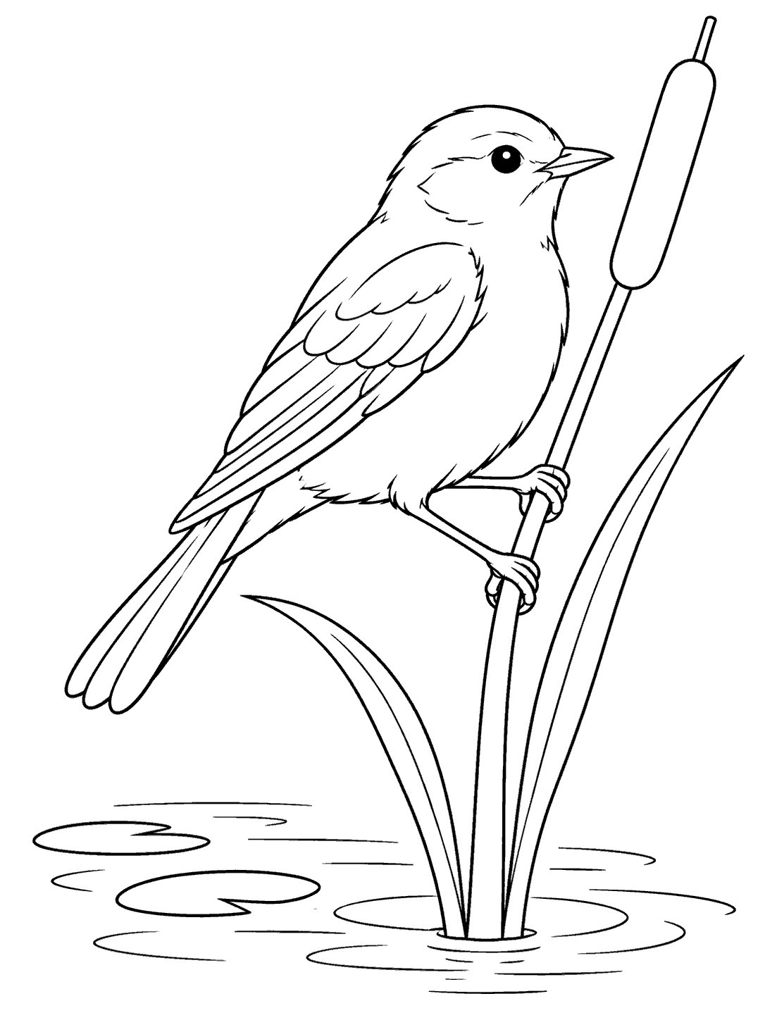 Black-outline pond coloring page featuring a side-view songbird perched on a reed above lily pads and water ripples.