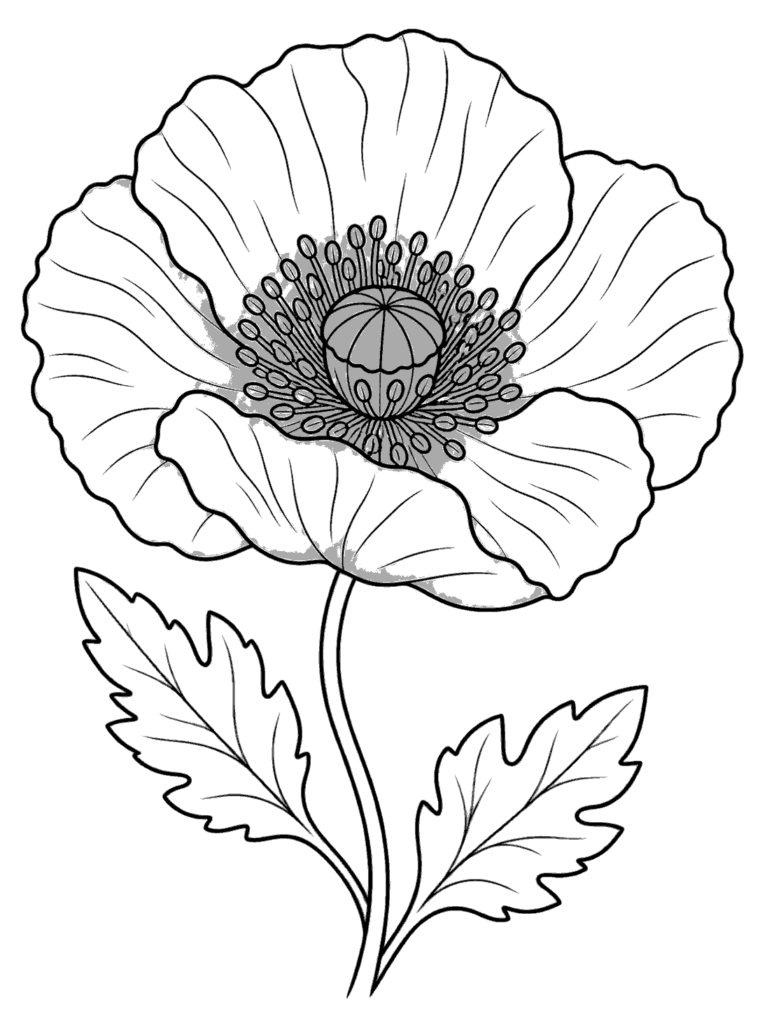 Black-outline coloring page of one open poppy bloom with two leaves