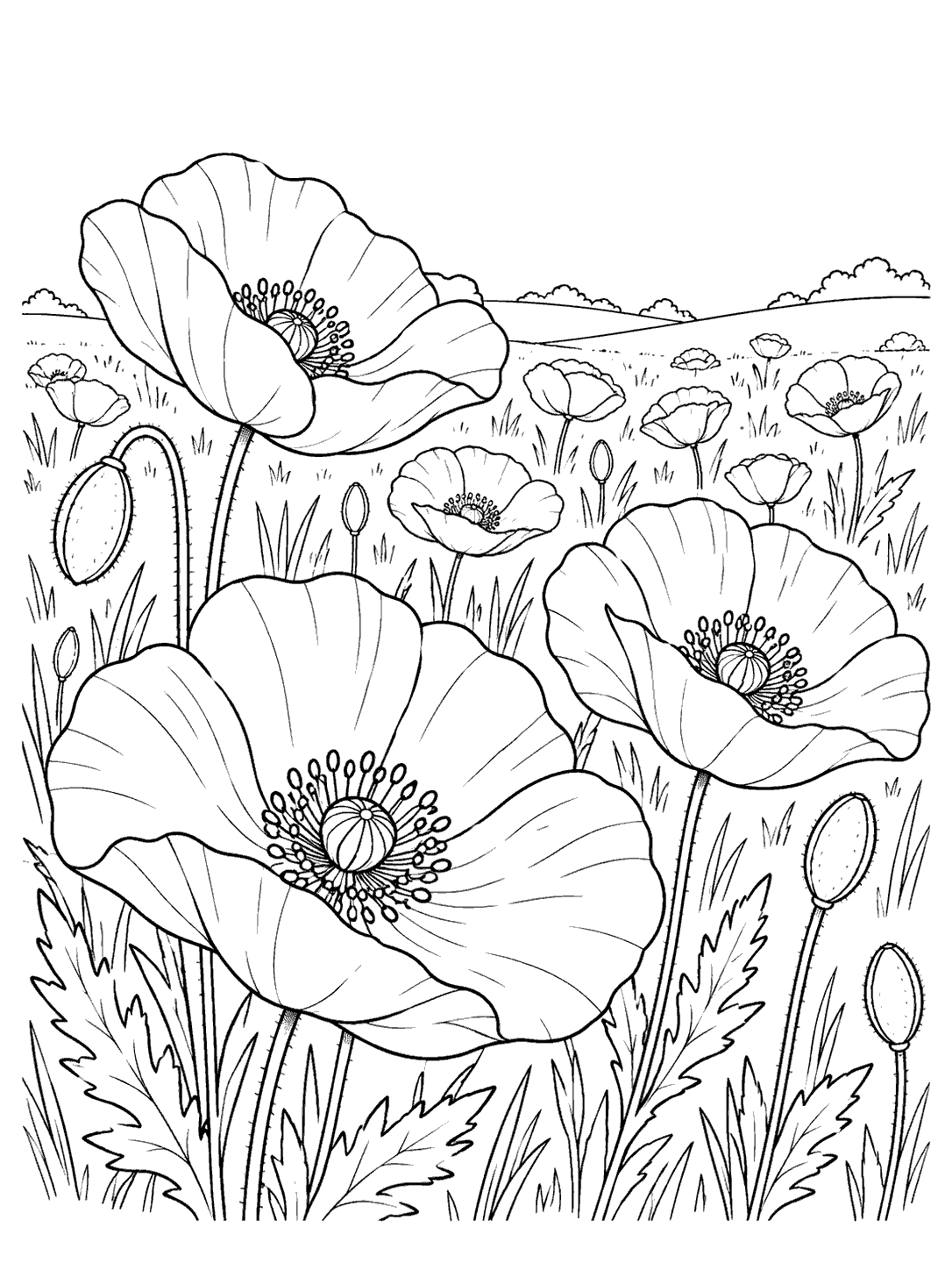 Printable black-and-white poppy meadow coloring page with large foreground flowers, smaller distant blooms, and a low horizon.