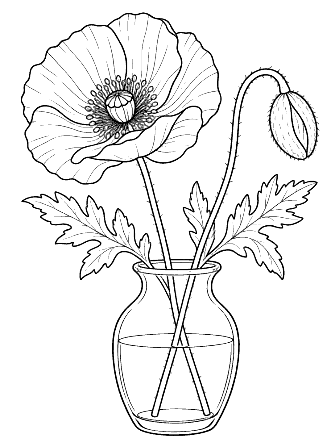 Printable poppy in a vase coloring page