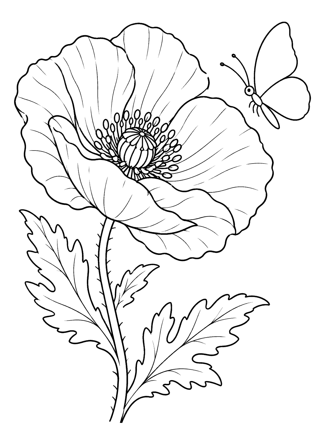 Printable black-and-white coloring page with a large open poppy on a leafy stem and a smaller unpatterned butterfly hovering beside it.