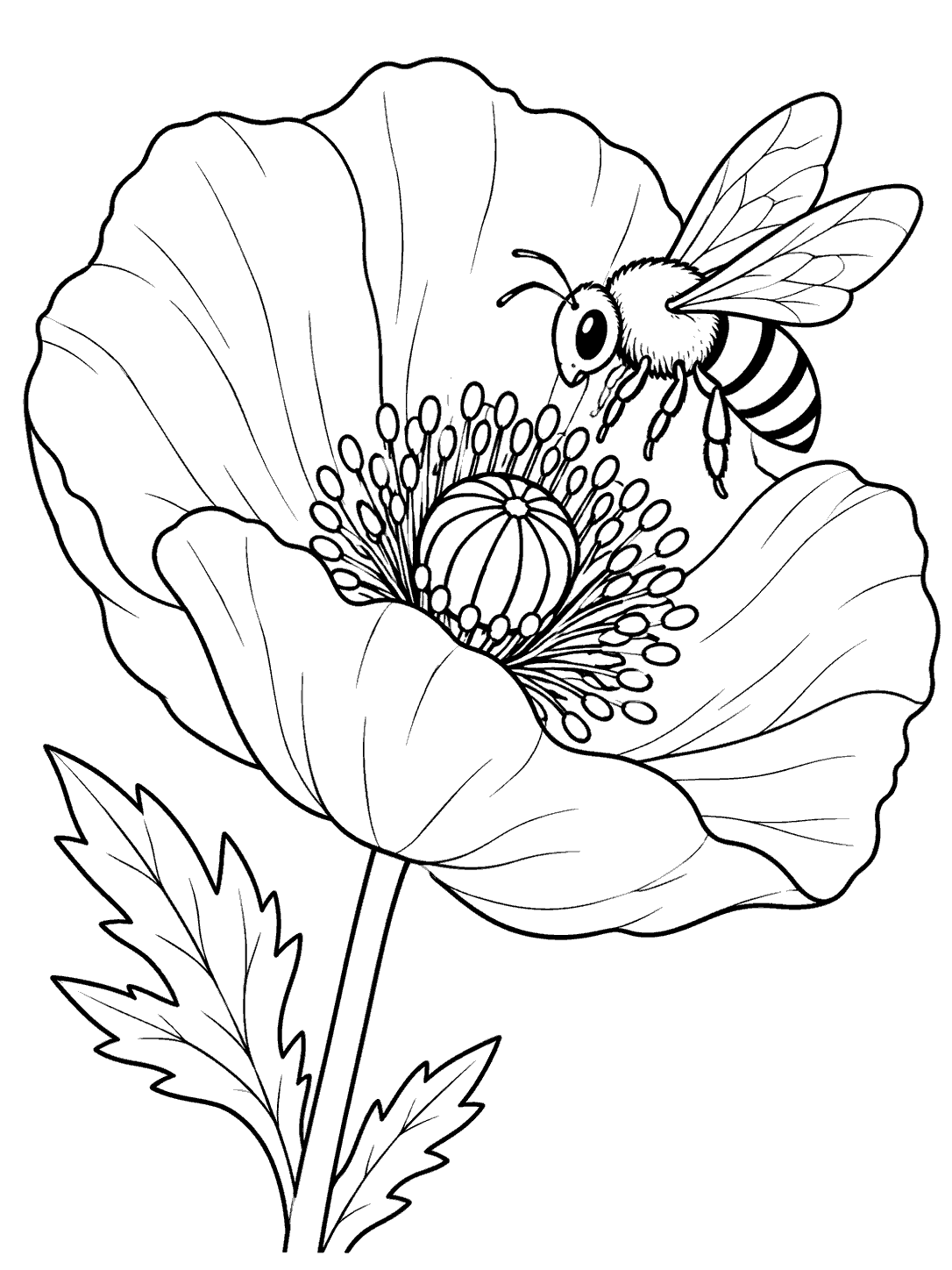 Black-and-white printable coloring page showing a large open poppy, its stem and leaves, and a striped bee approaching the flower center.