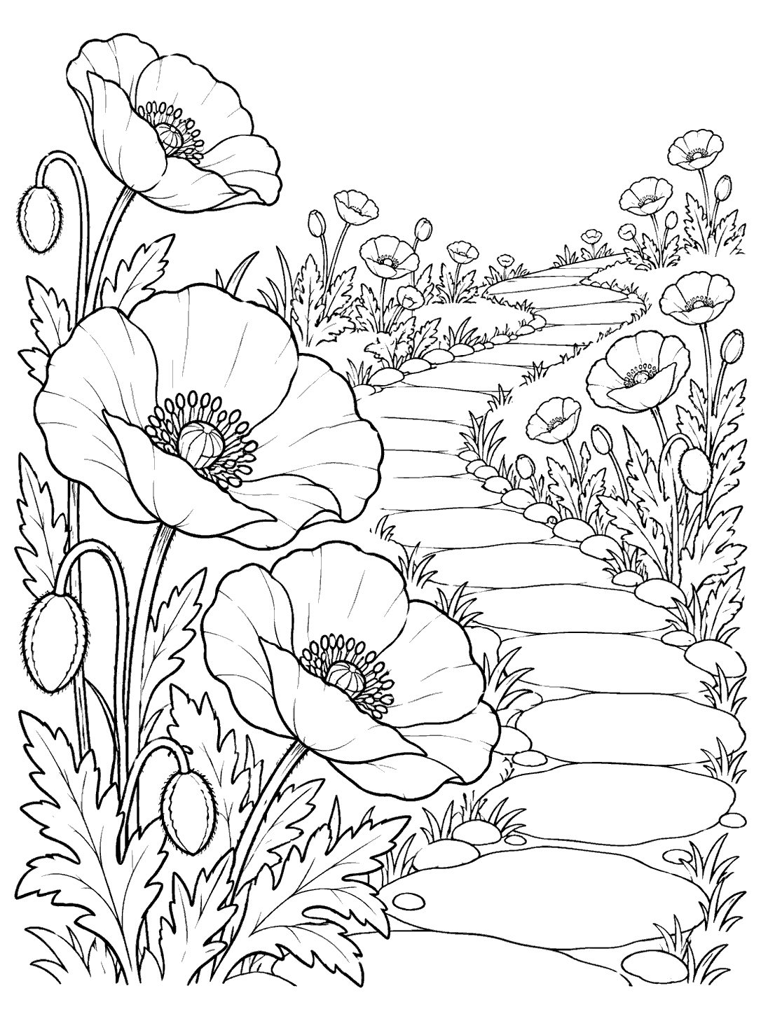 Black and white poppy garden path coloring page with large foreground flowers and smaller poppies along a winding stone path