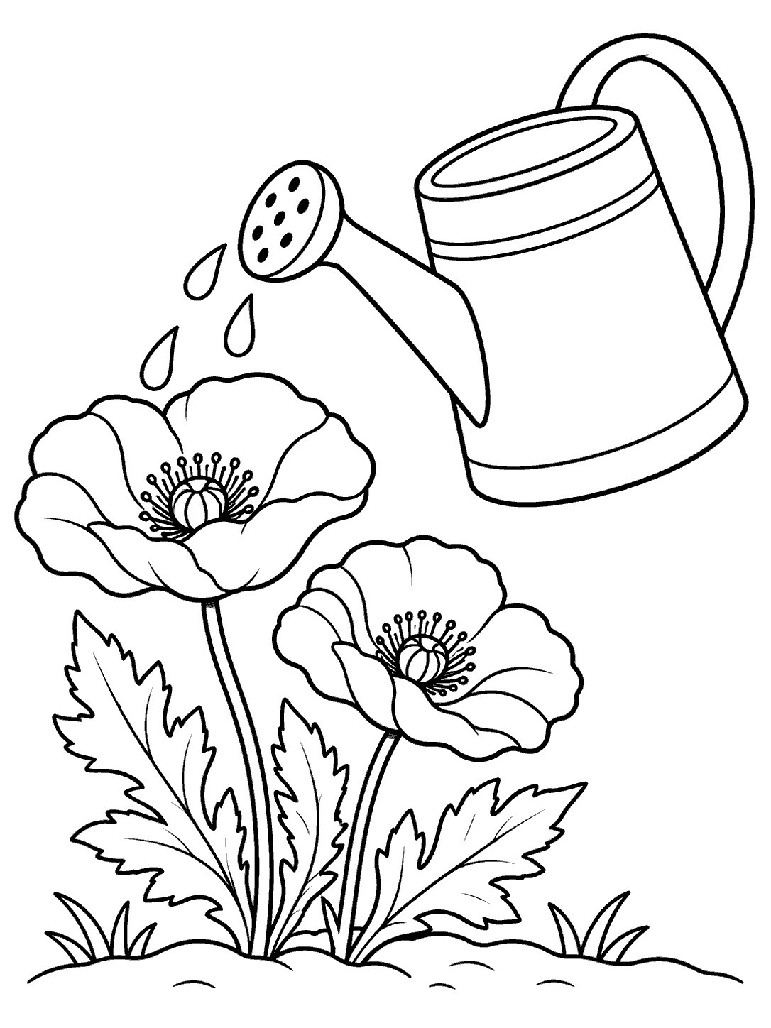 Black-and-white printable coloring page showing a garden watering can tilted toward two poppies with leaves and large water drops.