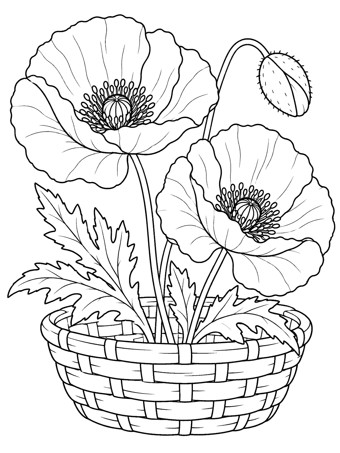 Black ink poppy coloring page with two open blooms, one bud, and cut stems in a woven basket.