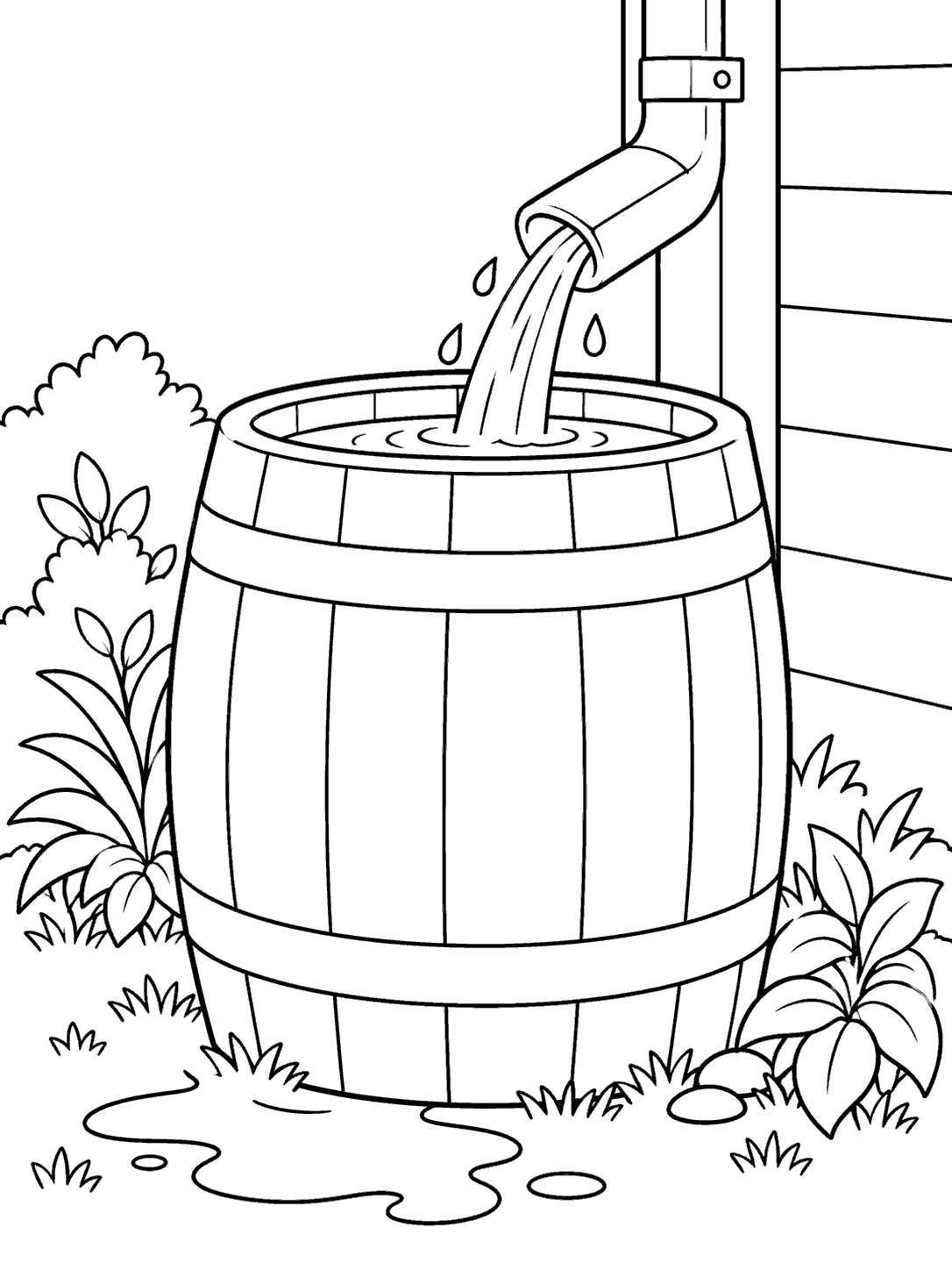 Black-outline coloring page of a wide wooden rain barrel filling from a house downspout, with plants and a puddle