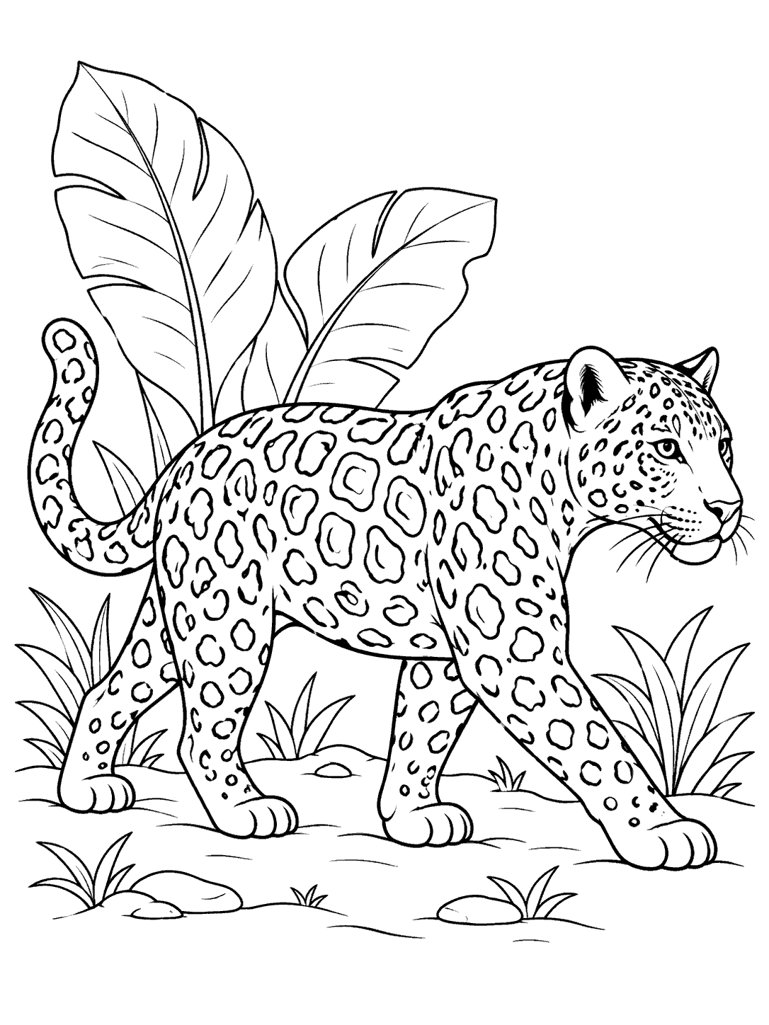 Full-body jaguar walking in profile among broad rainforest leaves and ground plants.