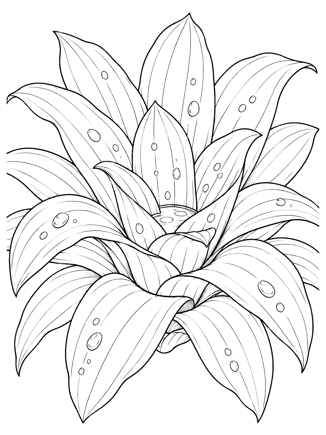 Rainwater collected in the center of a rainforest bromeliad