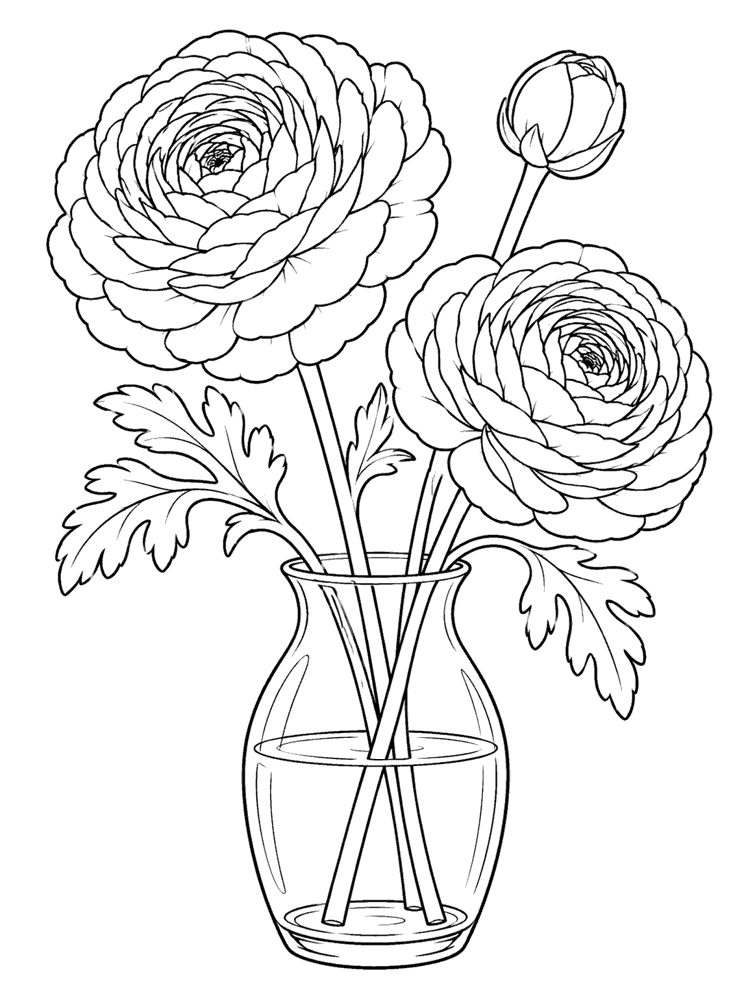 Two open layered ranunculus blooms and one bud arranged in a clear vase, with visible stems and leaves.
