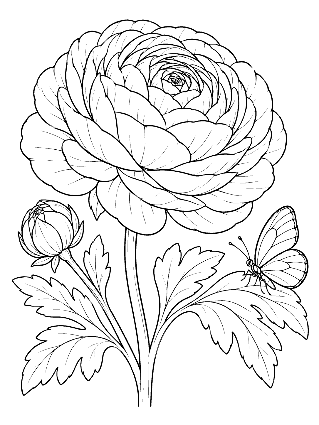 A butterfly beside a large layered ranunculus bloom, a bud, and leaves.