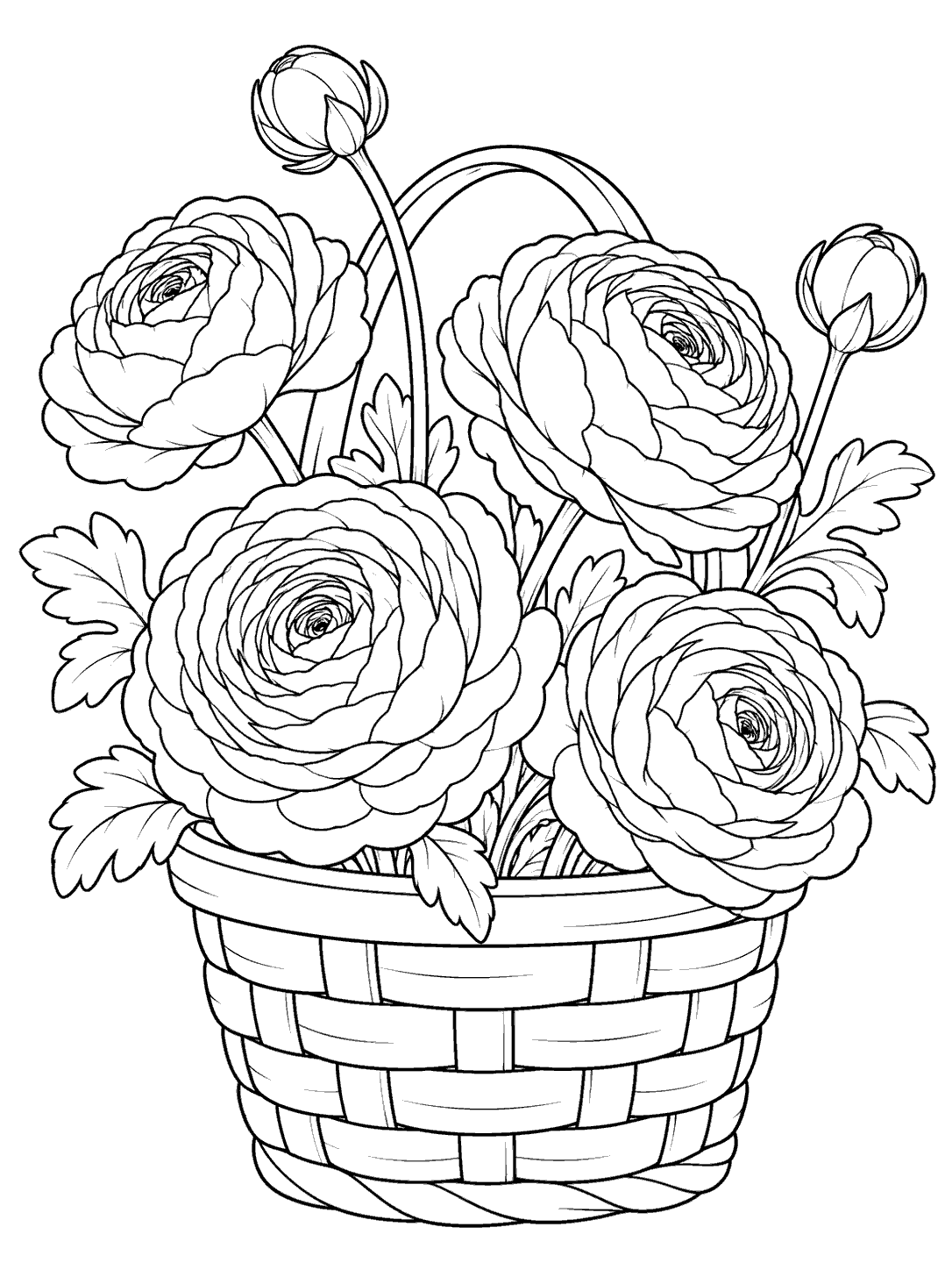 A handled basket filled with four densely layered ranunculus blooms, two buds, and leaves, drawn in black outlines on white.