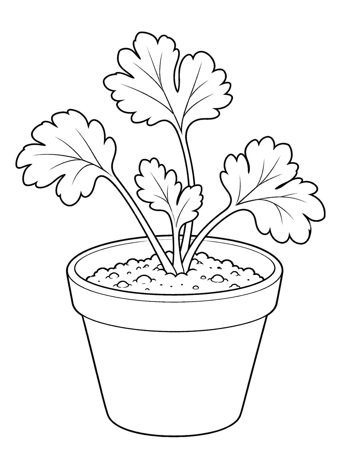 Potted ranunculus foliage coloring page