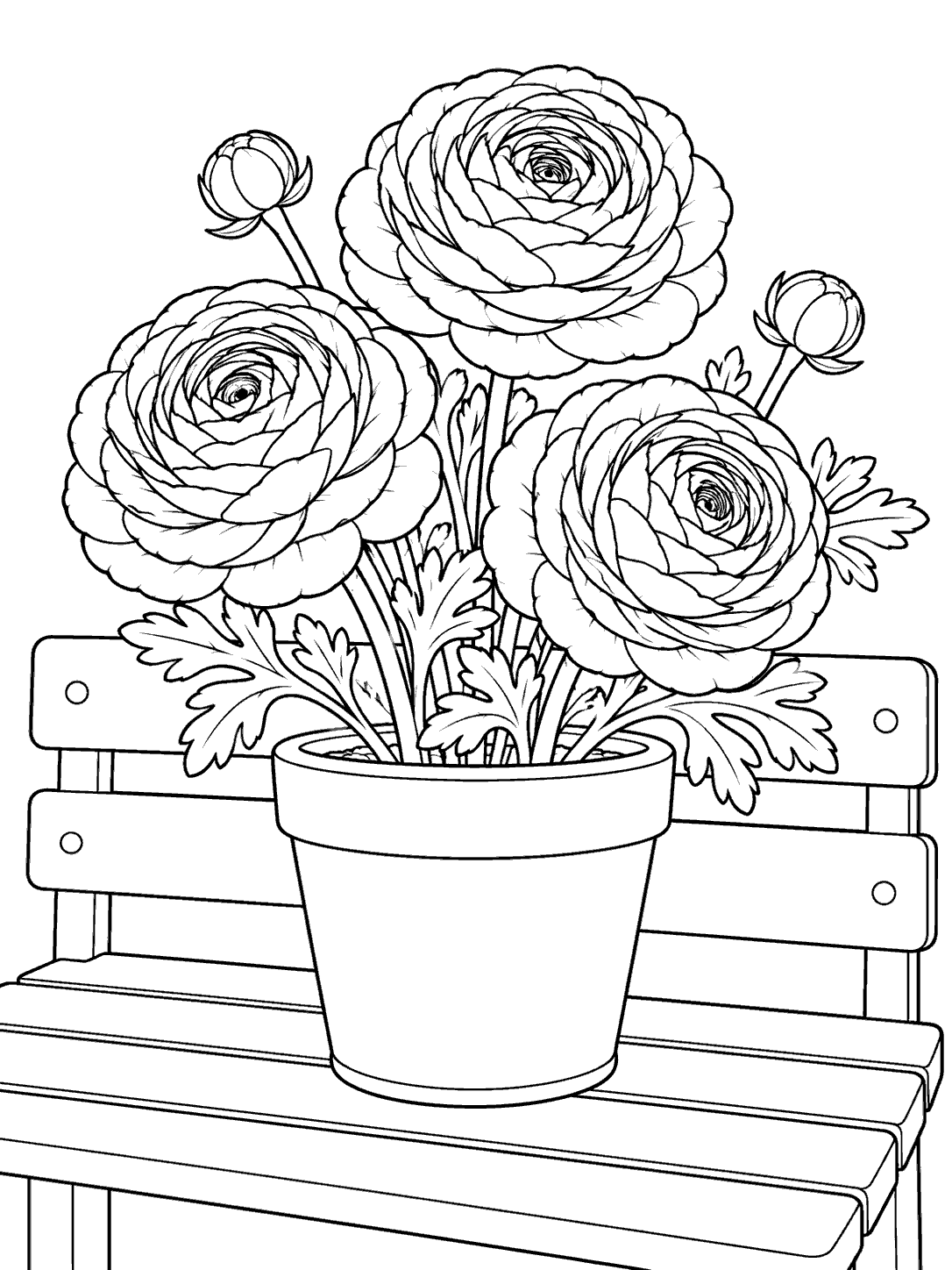 Black outline coloring page of three ranunculus blooms and foliage in a planter resting on a slatted garden bench.