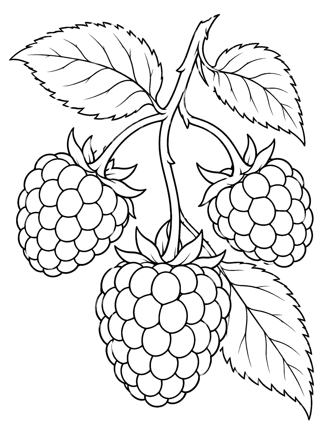 Black-outline coloring page of three raspberries on a leafy stem