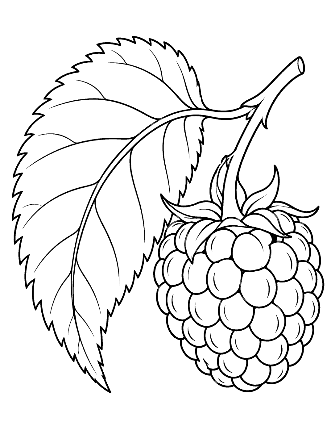 Black-outline raspberry leaf and ripe berry coloring page