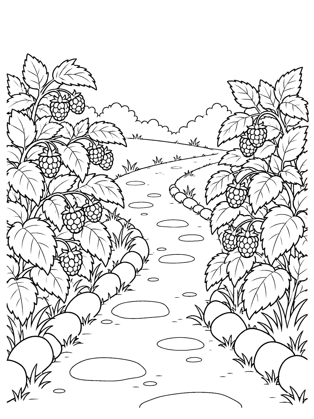 Black-outline coloring page of a winding garden path bordered by raspberry bushes with serrated leaves and berry clusters.