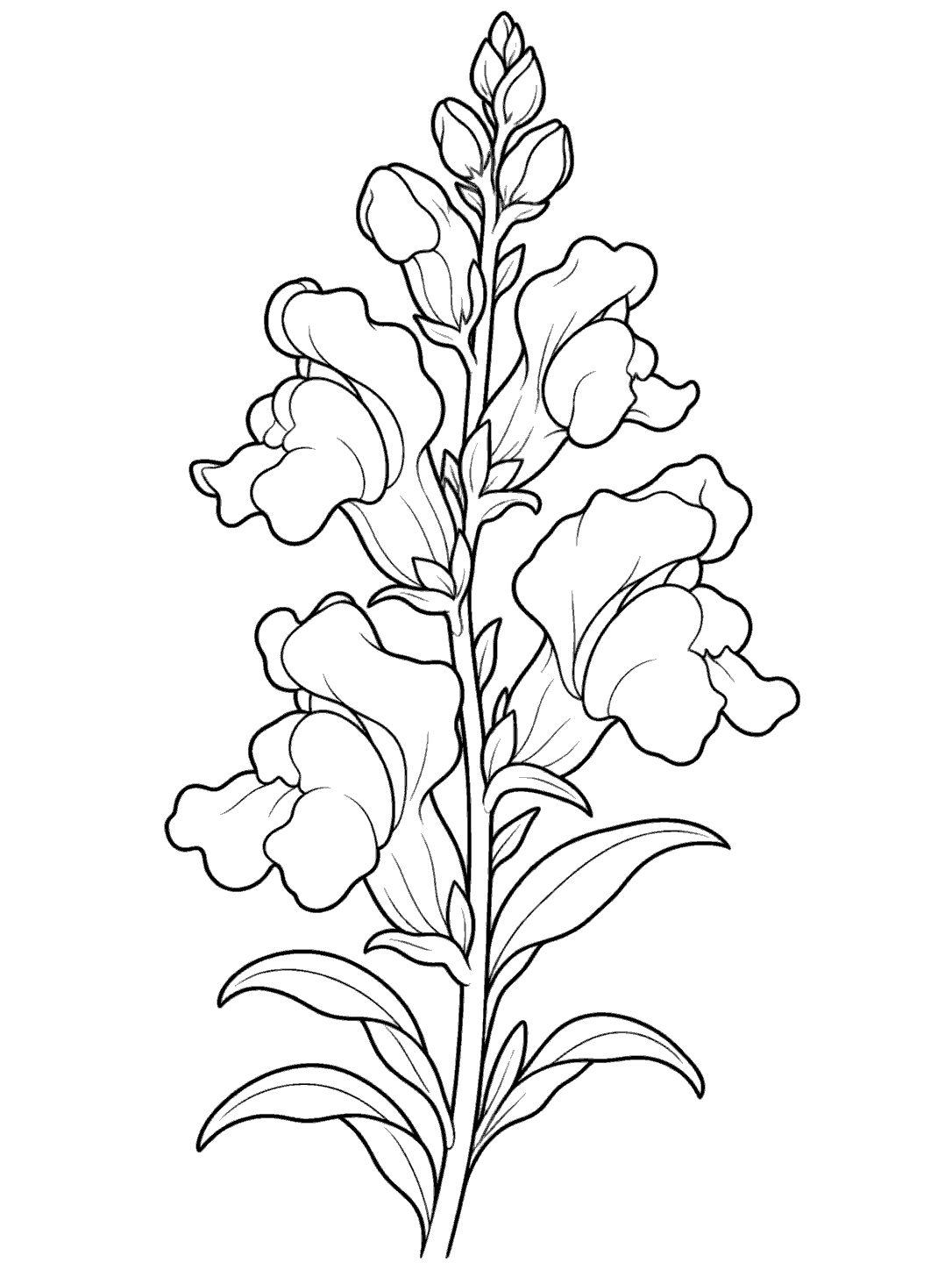 Single snapdragon stem with clustered blossoms