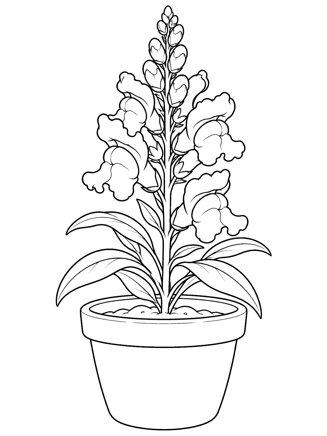Snapdragon plant growing in a rounded pot
