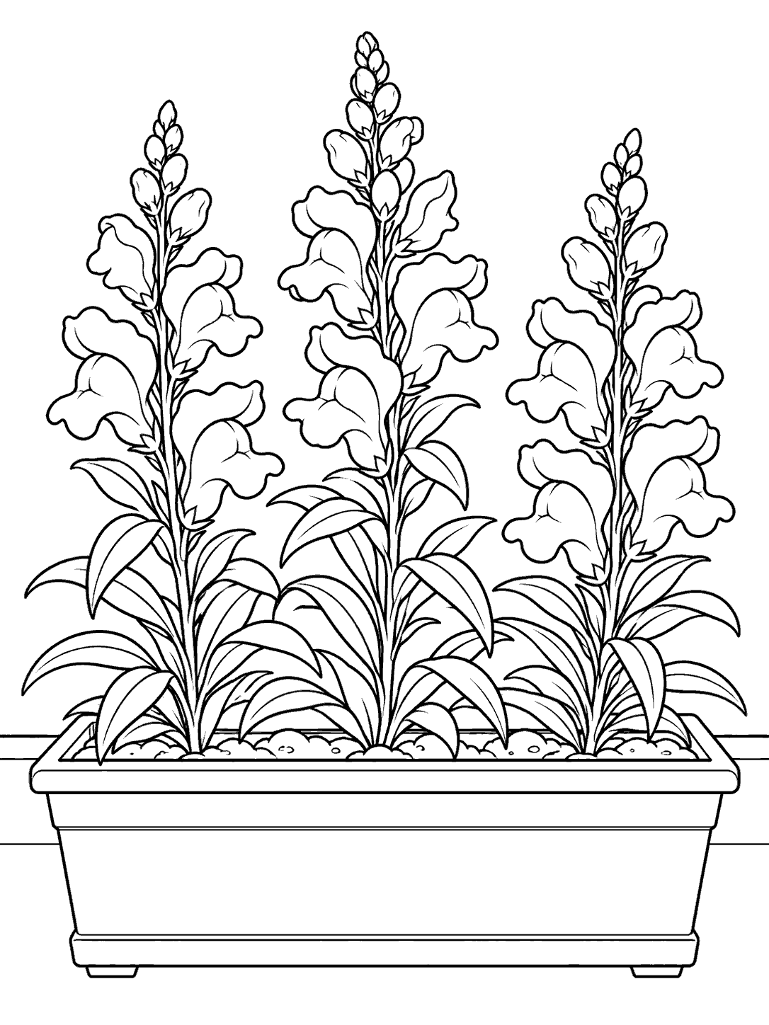 Black outline coloring page of three snapdragon plants with large blossoms and simple leaves growing in a rectangular window box on a sill.