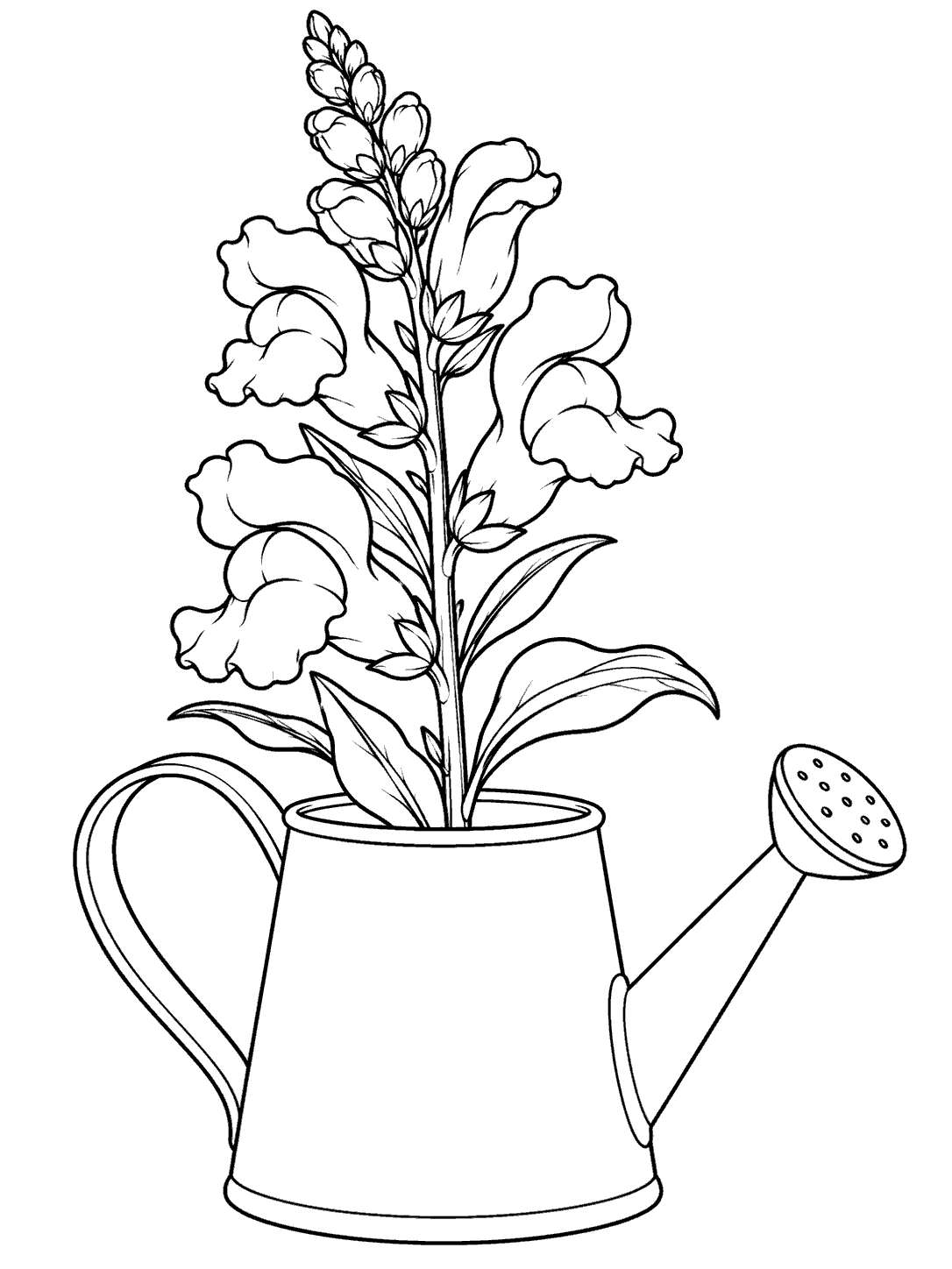 A tall snapdragon stem with large blossoms arranged in a garden watering can, in black line art on white.
