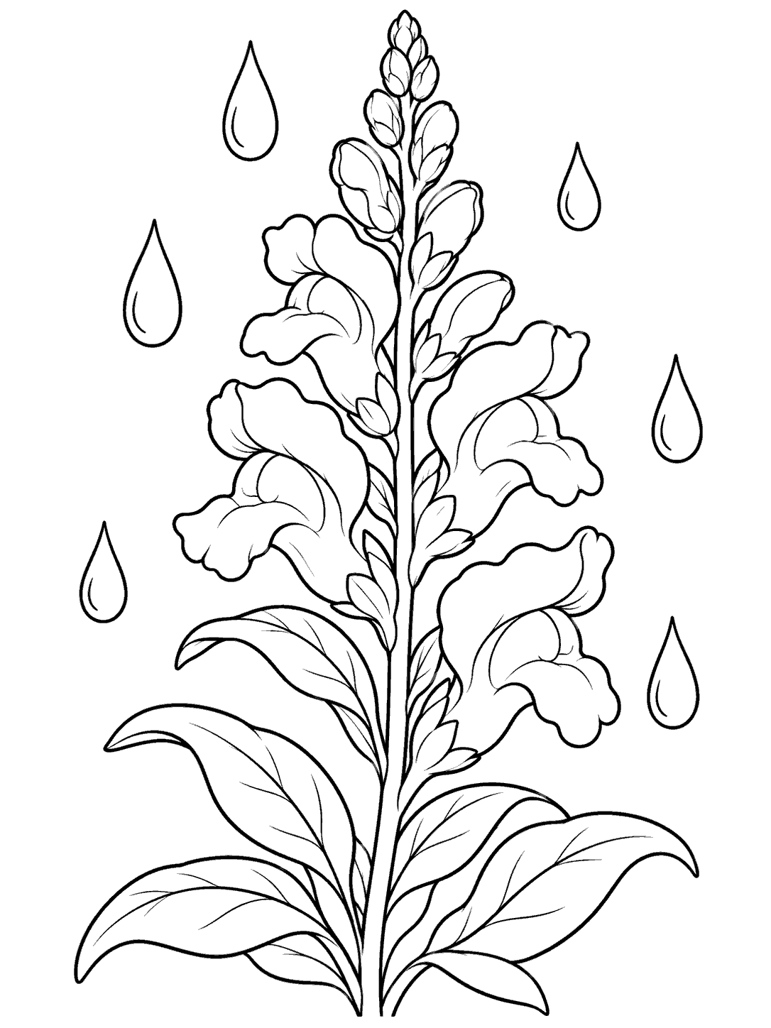 A tall snapdragon spike with broad leaves and six spaced raindrop outlines, drawn in black line art on white.