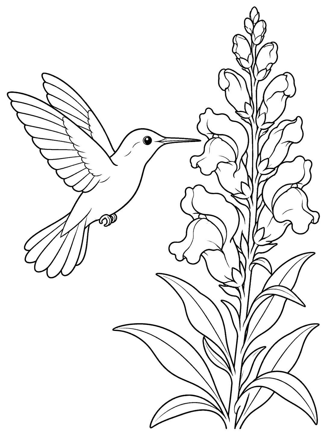 A hummingbird with broad, spread wings hovers beside an upright snapdragon spike with open blossoms and long leaves.