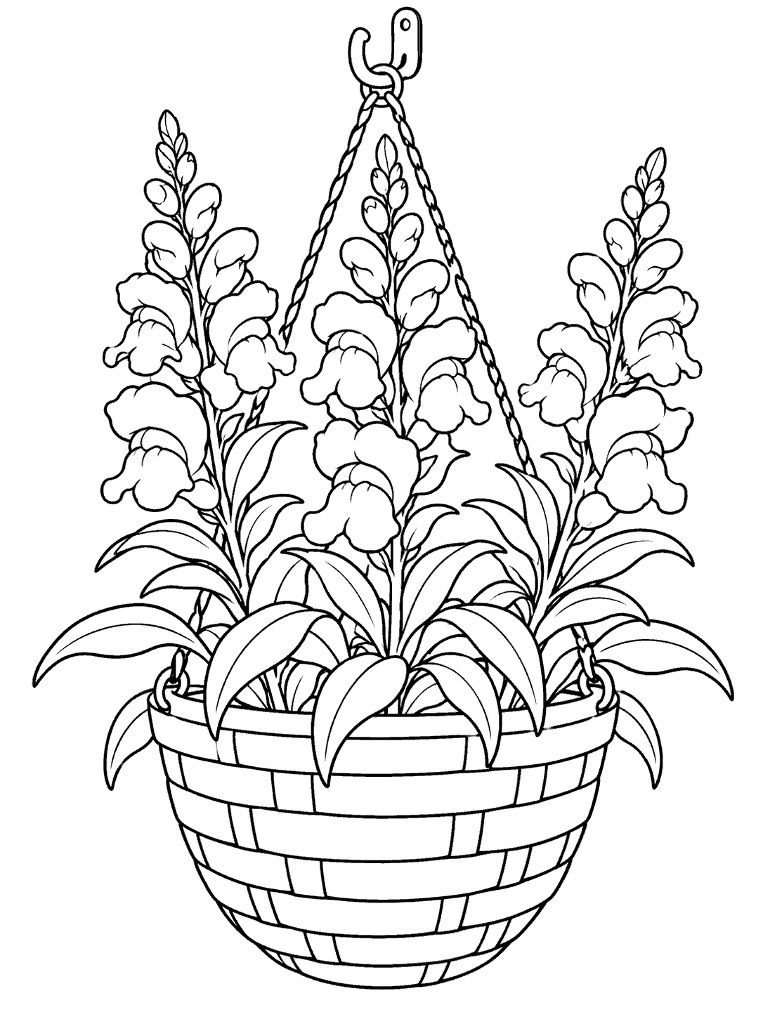 Black outline coloring page of three leafy snapdragon spikes growing in a woven hanging basket suspended by braided cords and a hook.