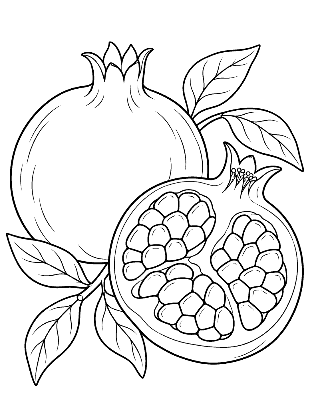 Black outline coloring page with a whole crowned pomegranate and a cut half showing large seeds, leafy stems, and a white background.