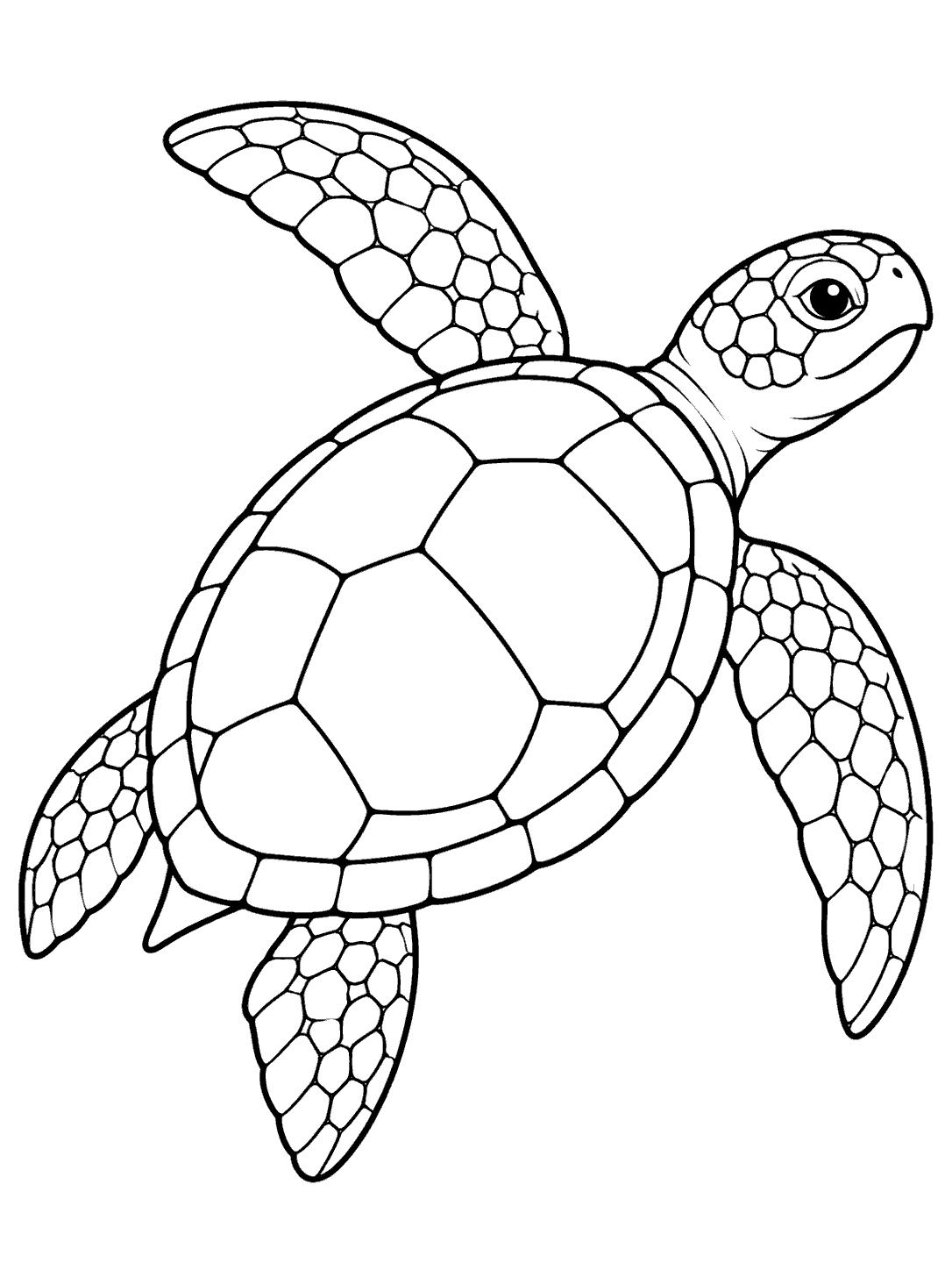 Printable stained glass sea turtle coloring page with a paneled shell and four paddle-like flippers