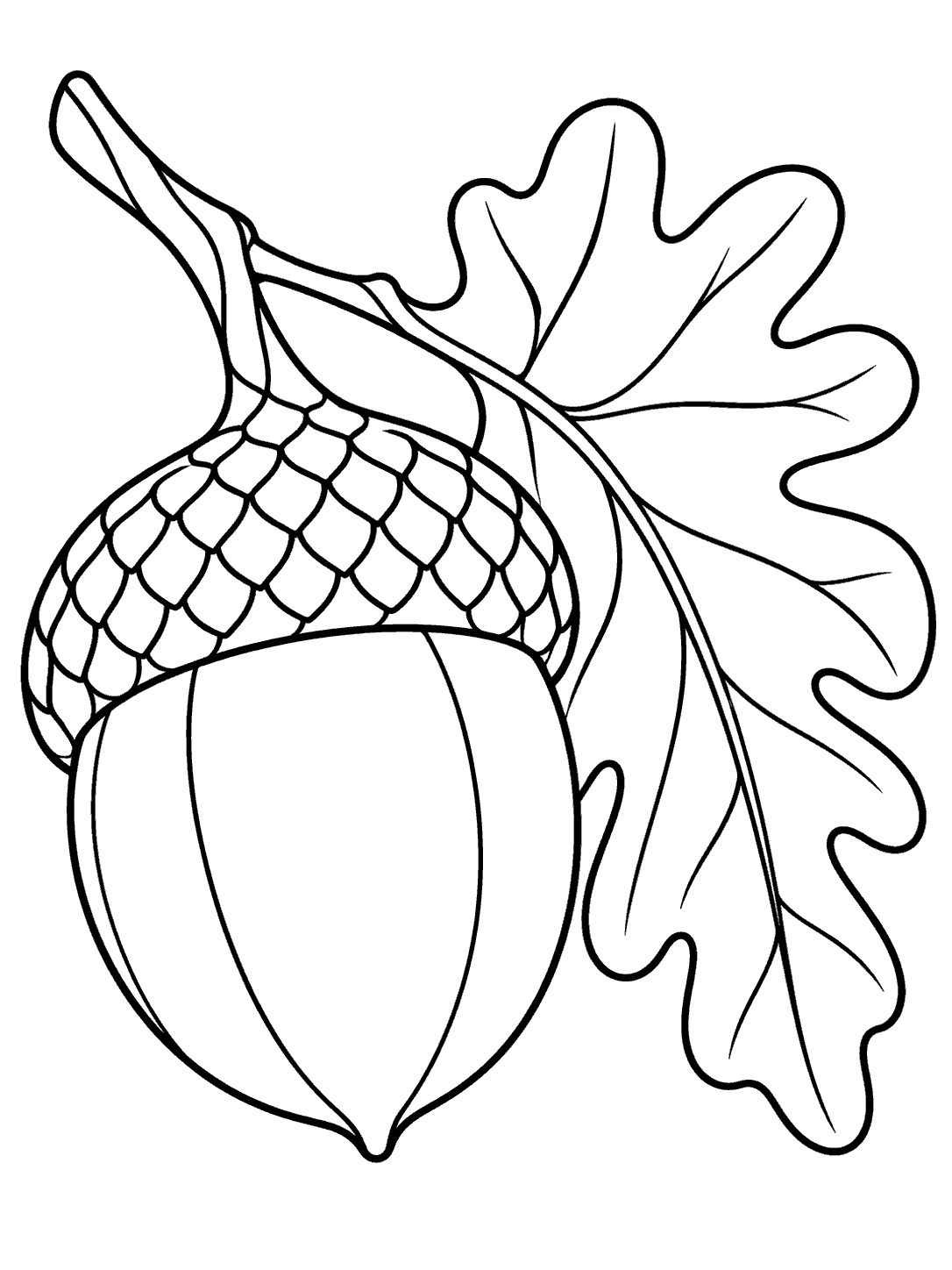 Black-and-white stained glass coloring page with one oversized acorn featuring a textured cap and pane divisions beside a single oak leaf.