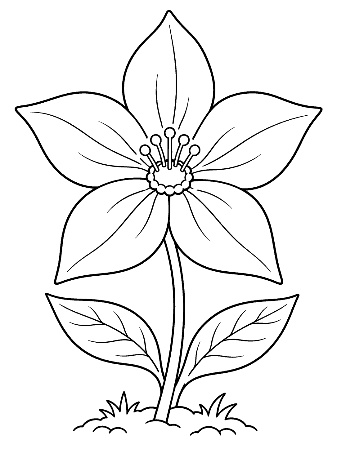 Black line art of a five-petaled star-shaped flower with two leaves and a small ground patch on a white coloring page.