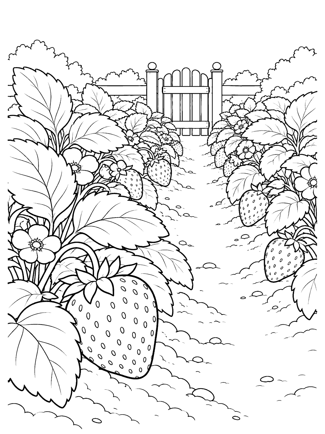 Strawberry plants and a garden gate coloring page with a prominent foreground berry