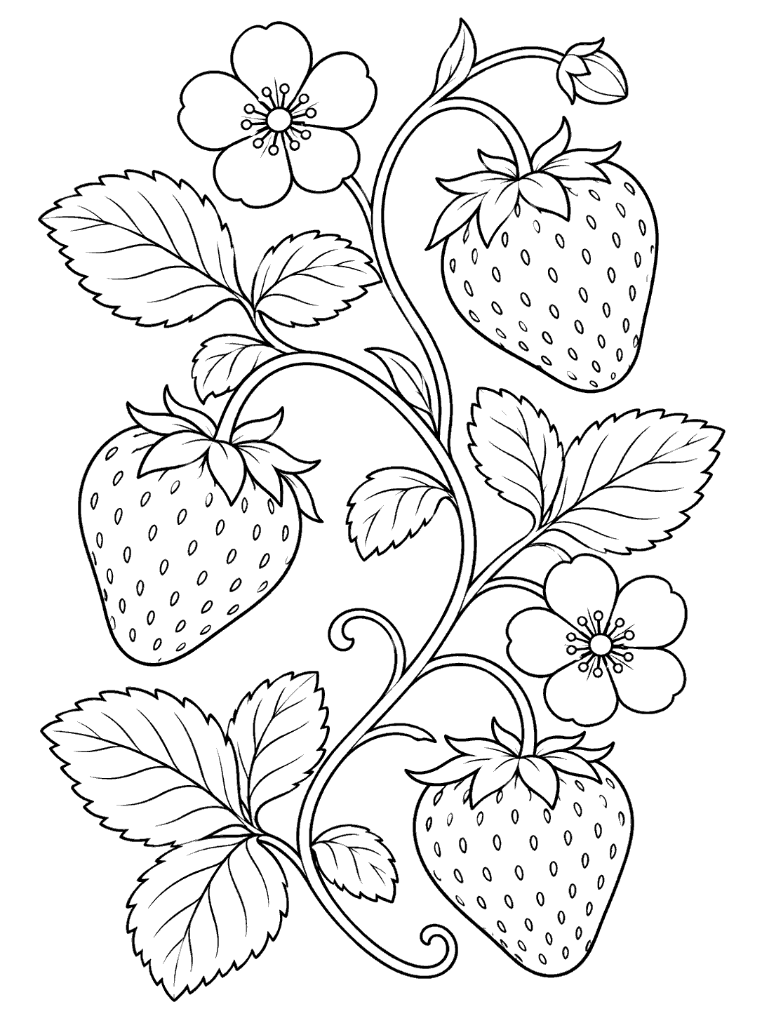 Portrait strawberry vine coloring page with three strawberries, leaves, and two blossoms.