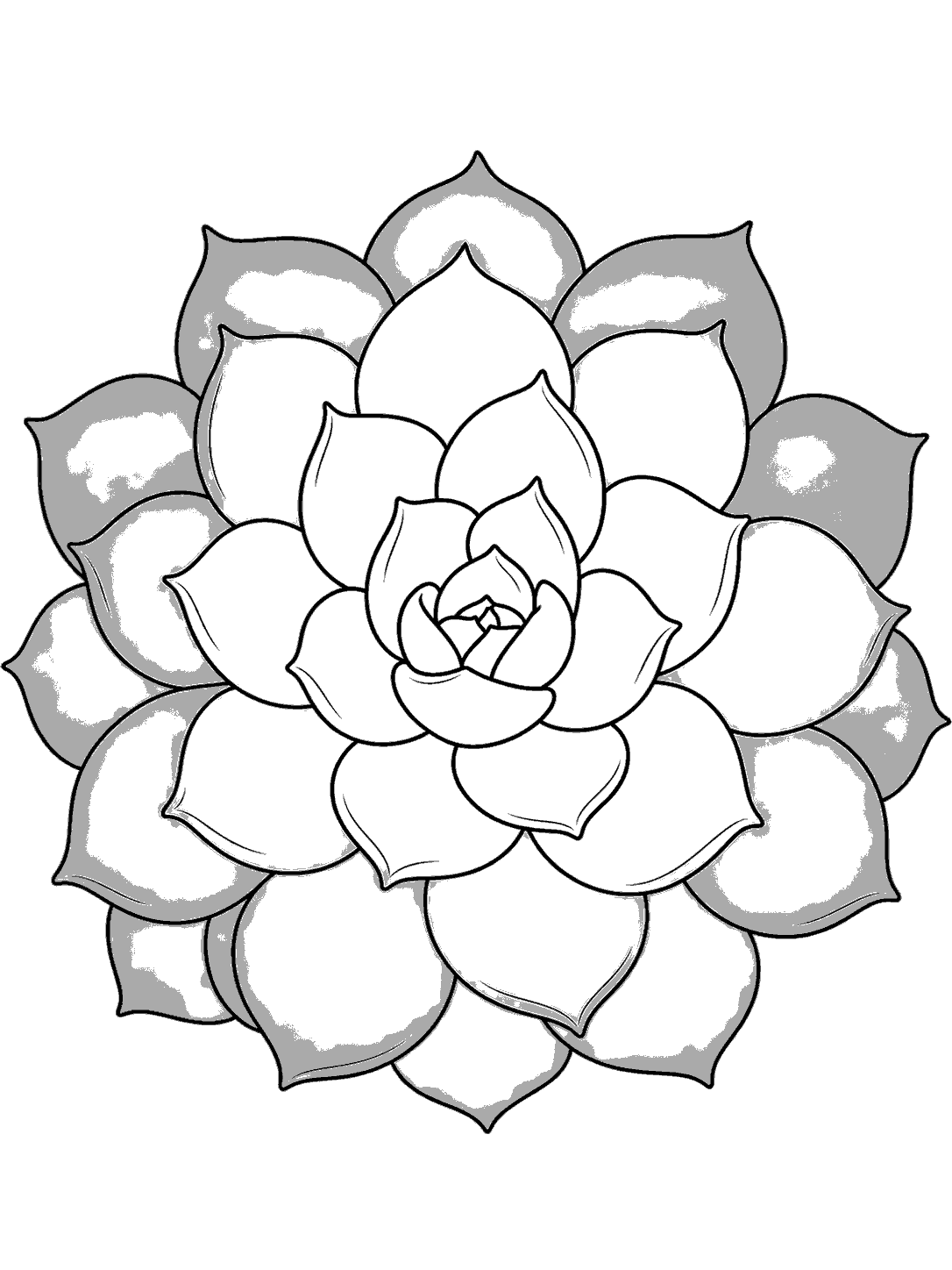 Printable outline drawing of a large echeveria rosette succulent