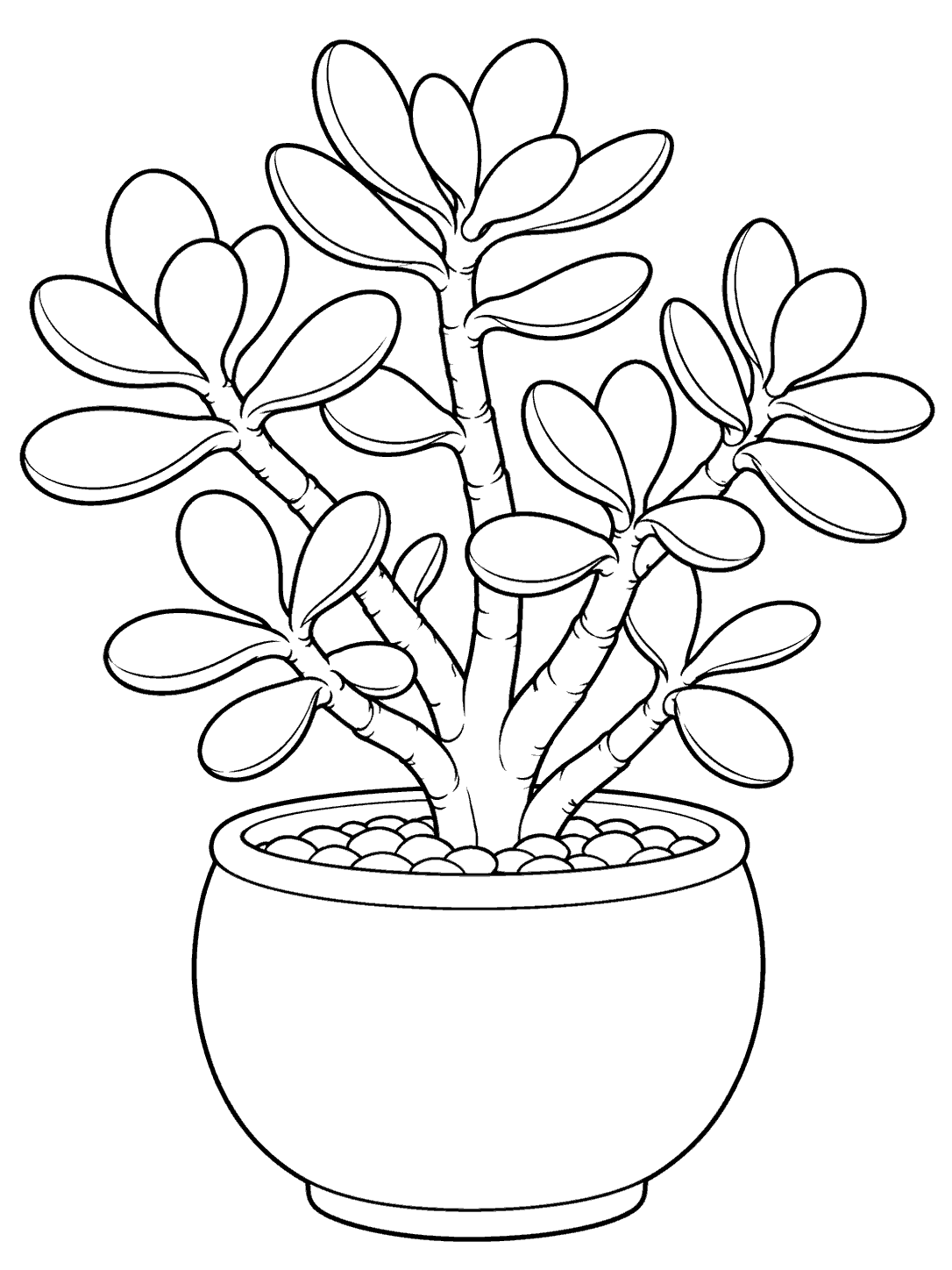 Black outline coloring page of a branching jade succulent in a rounded pot, with oval leaves and decorative pebbles.