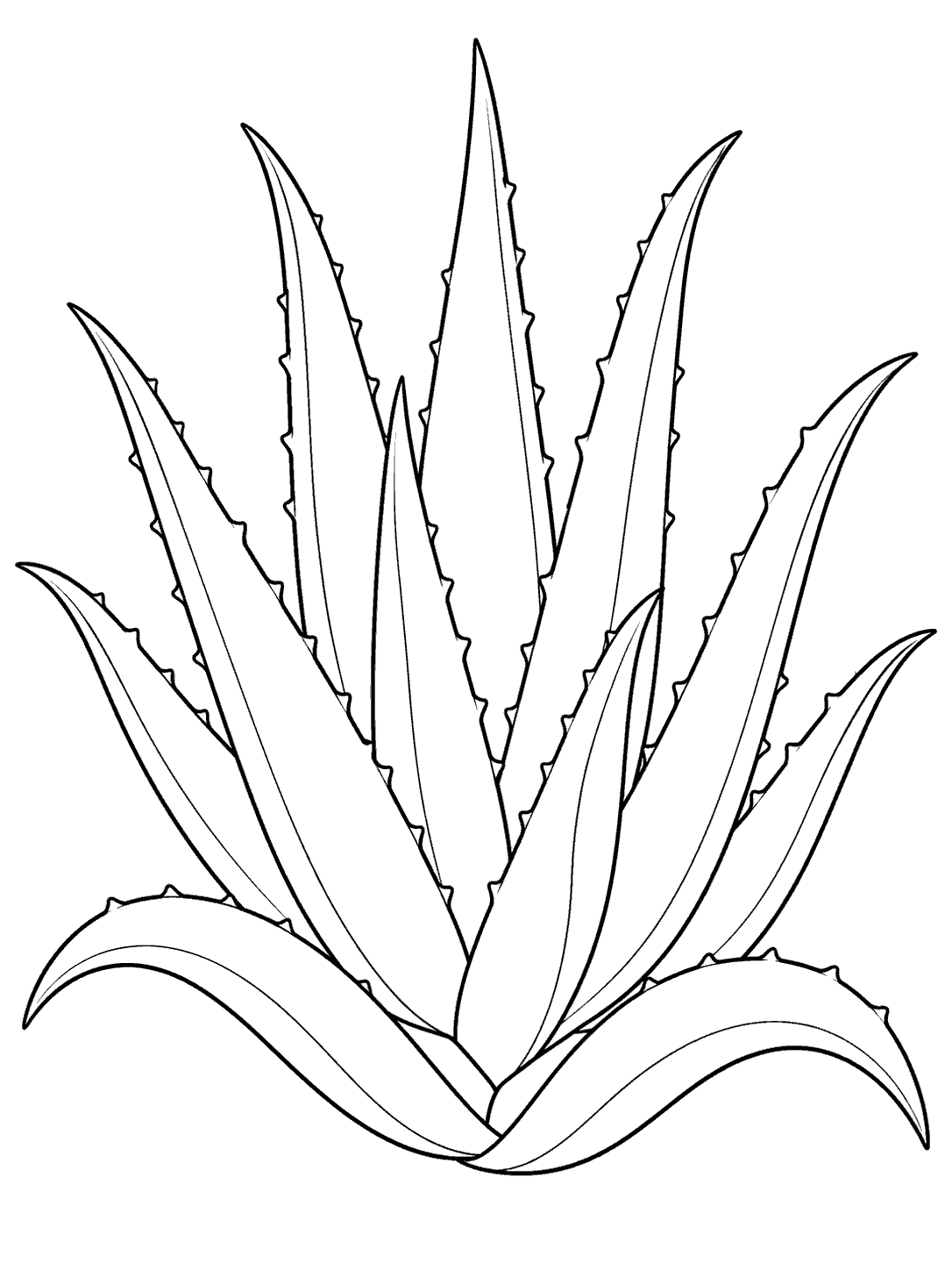 Printable black-outline drawing of a single aloe vera plant with pointed, toothed leaves.