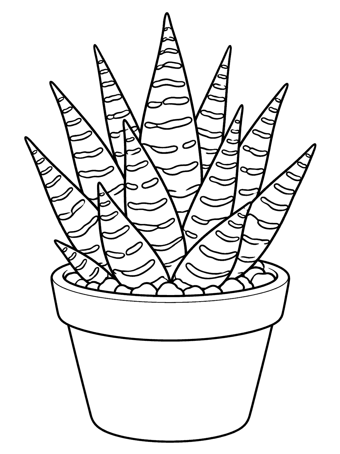 Black outline coloring page of a zebra haworthia succulent with striped upright leaves in a plain pot.