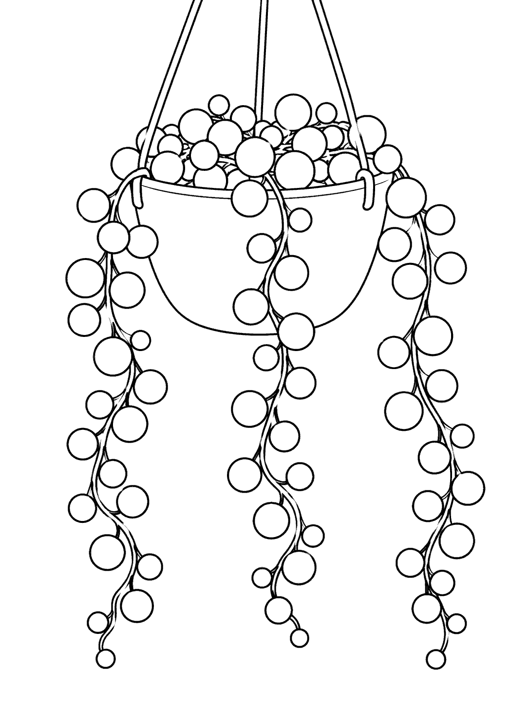 Printable black outline drawing of a string of pearls succulent in a hanging pot, with three trailing stems.