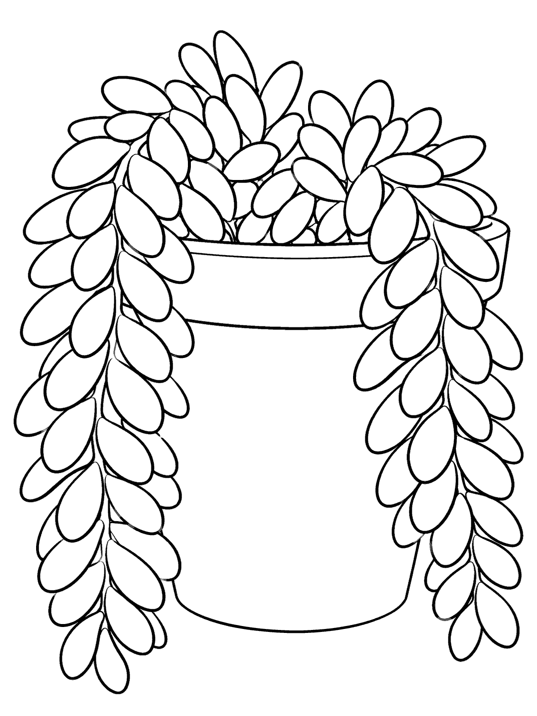 Black outline coloring page of a burro’s tail succulent with two leafy stems draping over a plain pot.