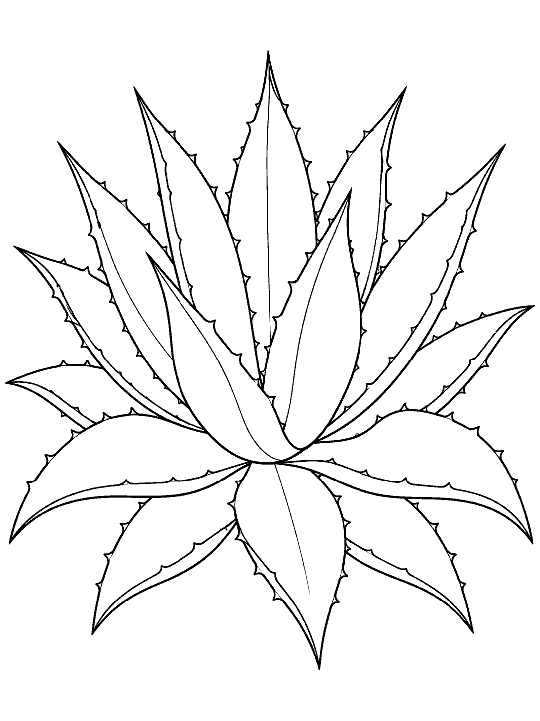 Printable black-outline drawing of a broad-leaved agave succulent in a starburst.