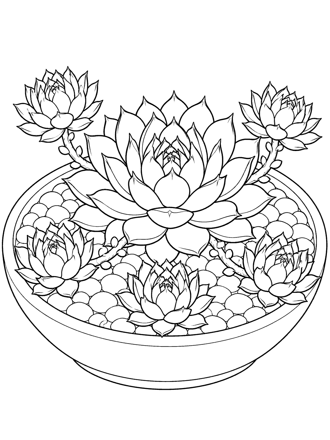Black-outline coloring page of a large sempervivum rosette and five smaller rosettes in a shallow round planter.