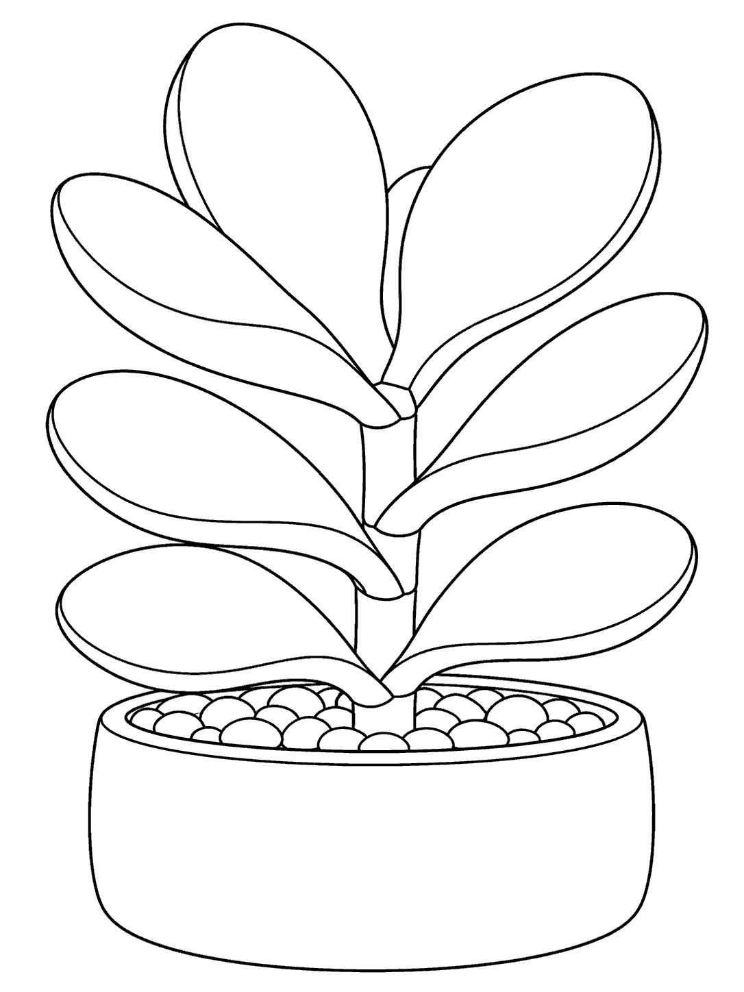 Printable black-outline drawing of a kalanchoe paddle plant with broad leaves and a low pot.