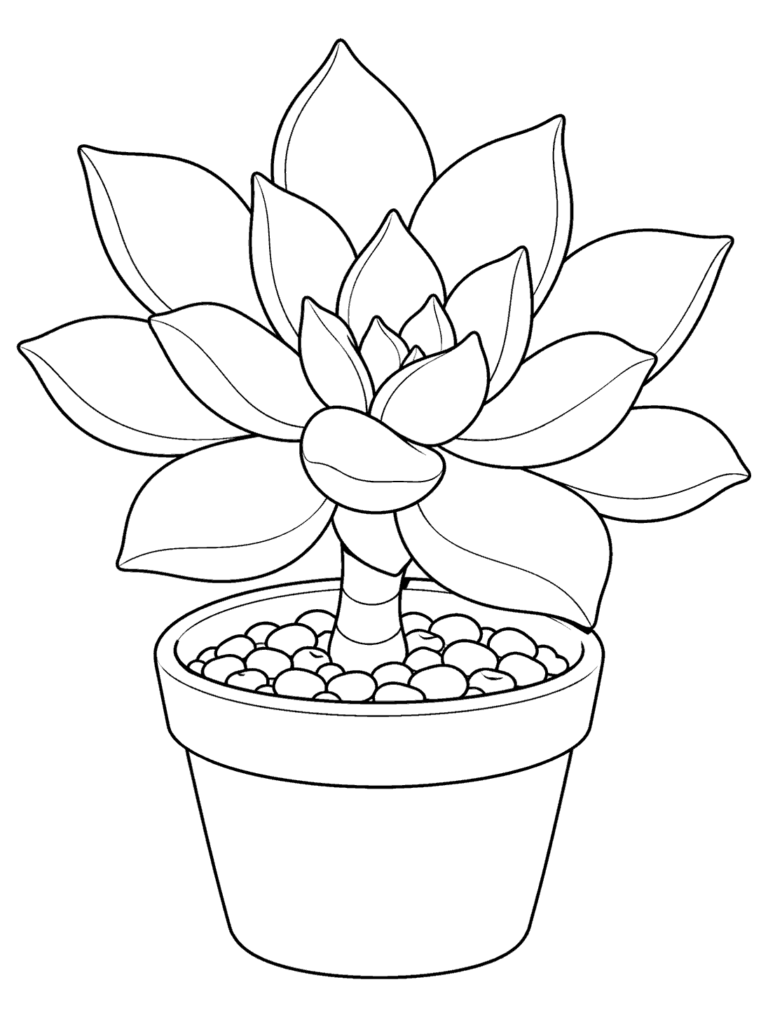 Printable black-outline drawing of a large pointed-leaf ghost plant rosette in a plain pot.