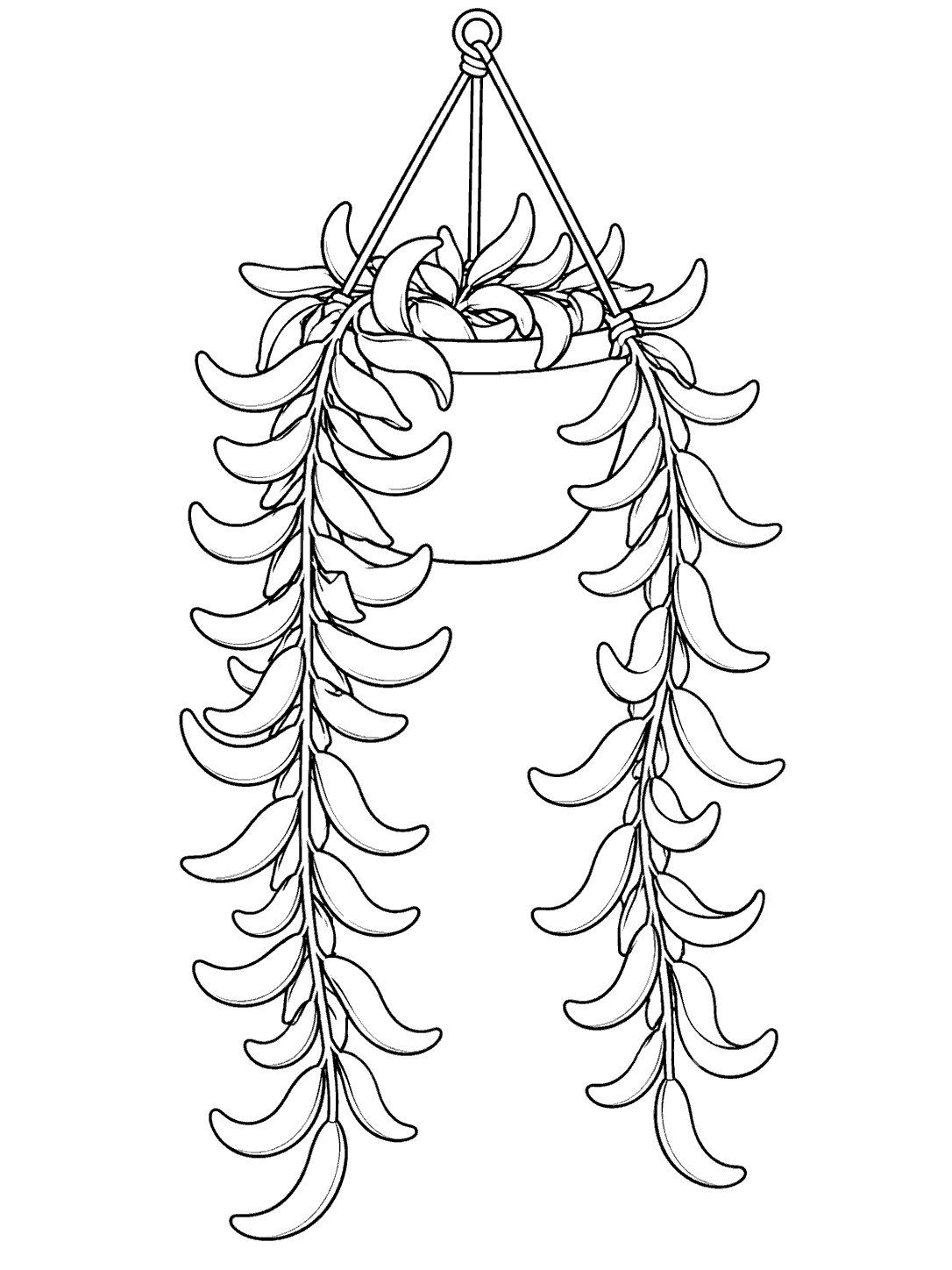 Printable black-outline drawing of a string of bananas succulent in a hanging planter, with two trailing vines.