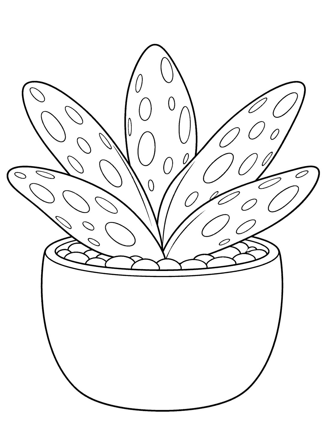 Black outline coloring page of a broad-leaved gasteria succulent with hollow oval markings in a rounded pot.