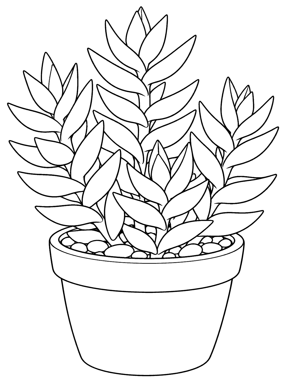 Black-outline coloring page of a Crassula capitella ‘Campfire’ succulent growing in a pebble-topped pot.