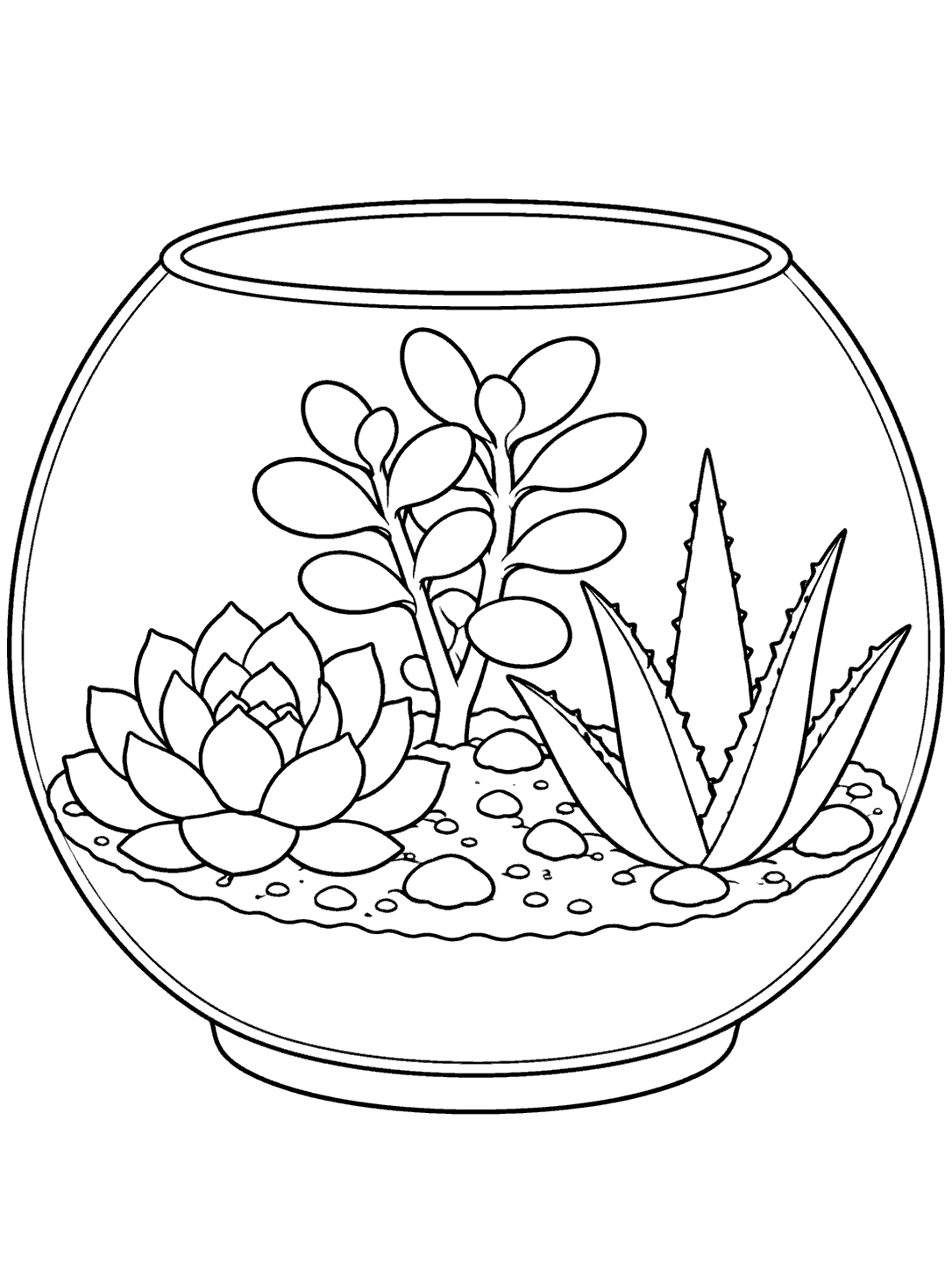 Black outline coloring page of a glass bowl terrarium with an echeveria rosette, jade sprig, and aloe pup.