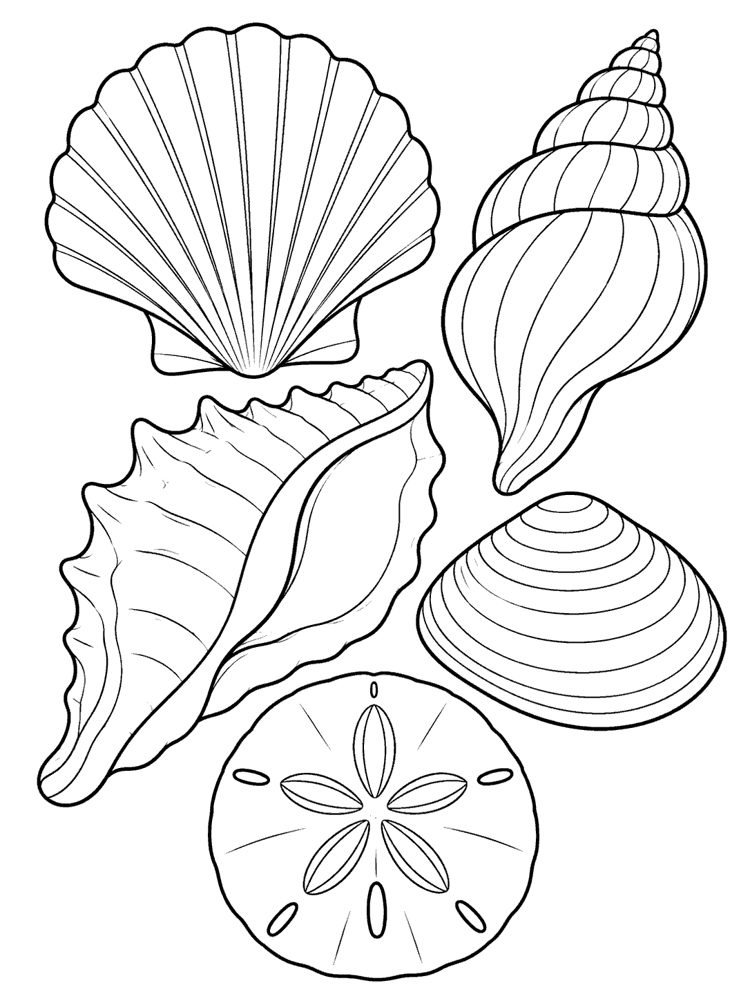 Black-and-white coloring page with a scallop, spiral shell, conch, clam, and sand dollar.