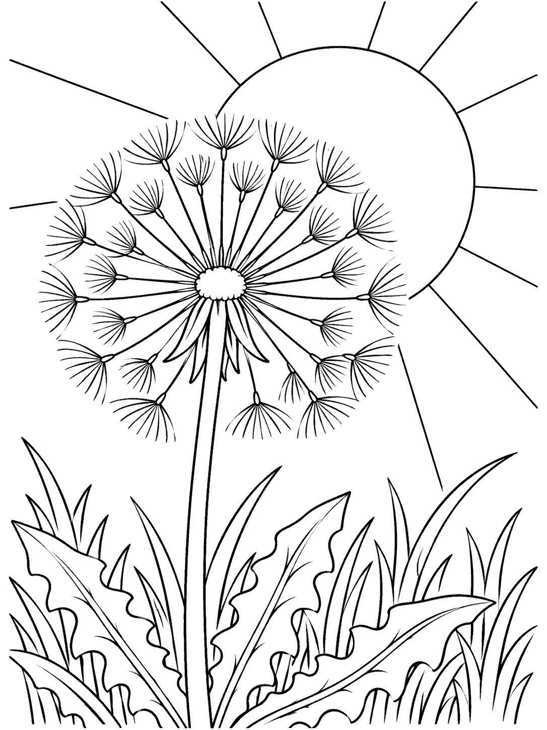 A large outlined sun behind a detailed dandelion seed head, stem, and leaves.