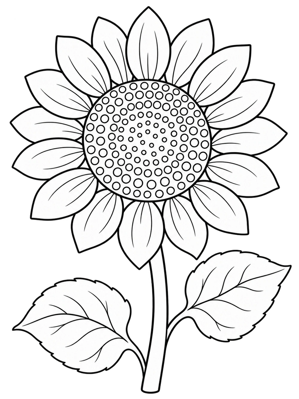 Simple sunflower with a large center and broad petals